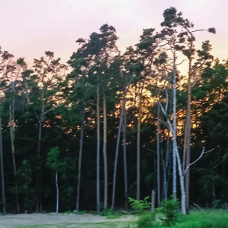 Lovely In Mueritz Graal-Mueritz