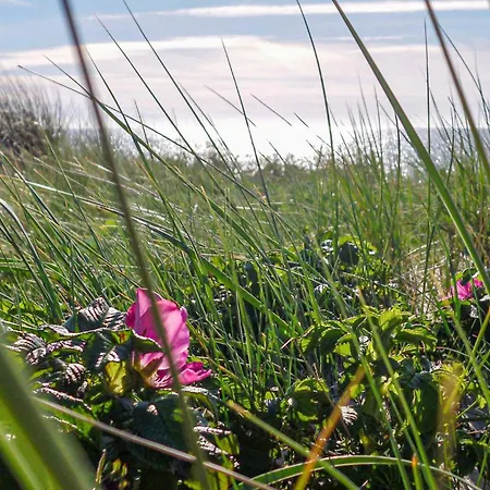 Apartamento Lovely In Mueritz *