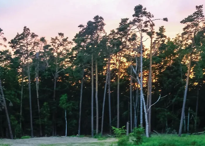 Lovely In Mueritz 格拉尔-米里茨